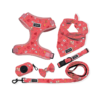 pet harness leash set OEM Dog Harness Leash 6PCS Set.