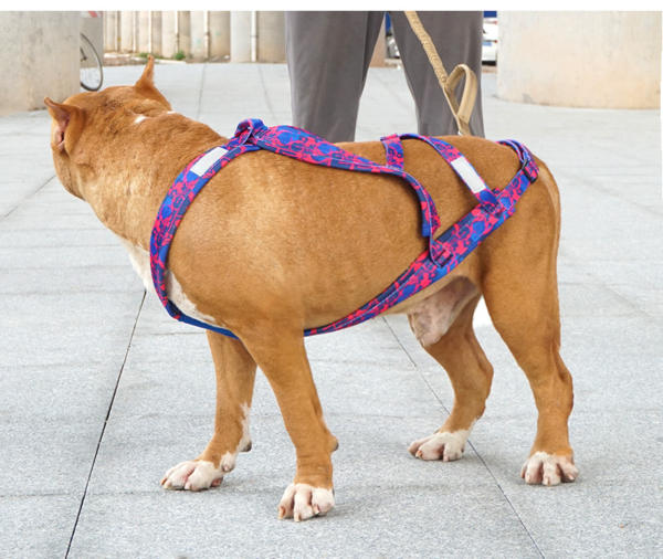 1692885904179 Sled Dog Harness Large Dog Harness