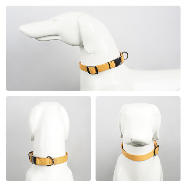 1693206026352 Leather Dog Collar Leash Set