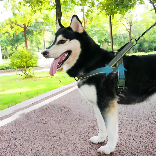 dog harness No Pull No Choke Dog Vest