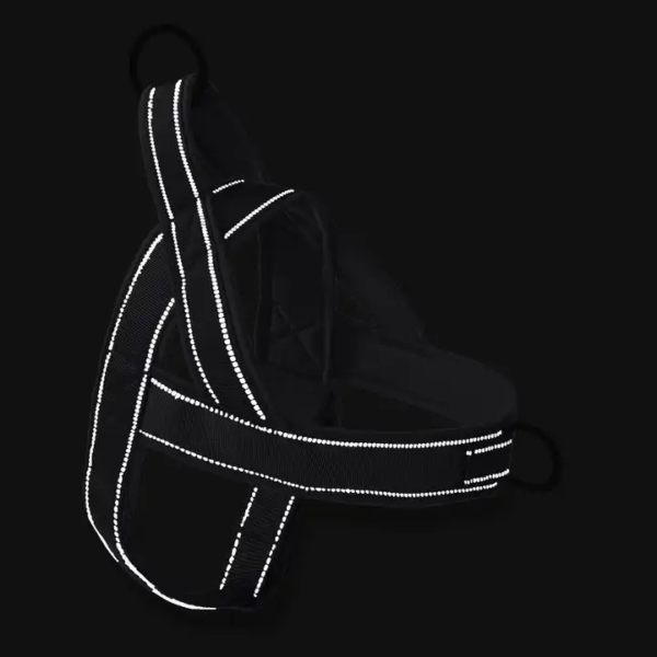 1697531259619 No Pull No Choke Dog Vest