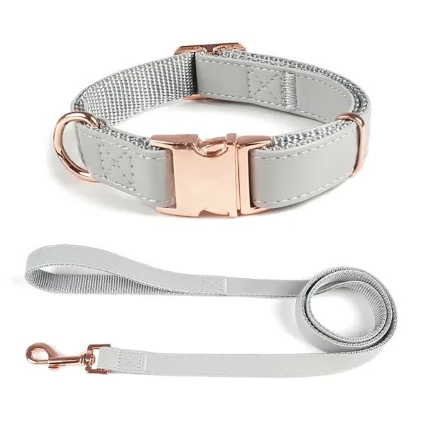 Dog leash 1 Leather Dog Collar Leash Set