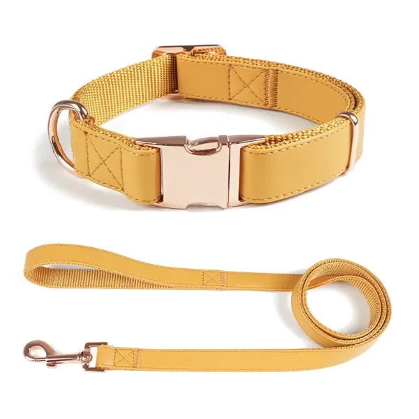dog leash & collar Leather Dog Collar Leash Set