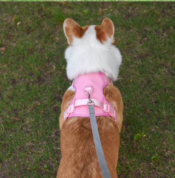 No Pull No Choke Dog Harness