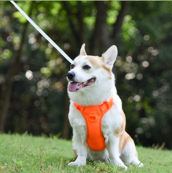 No Pull No Choke Dog Harness