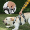 dog harness