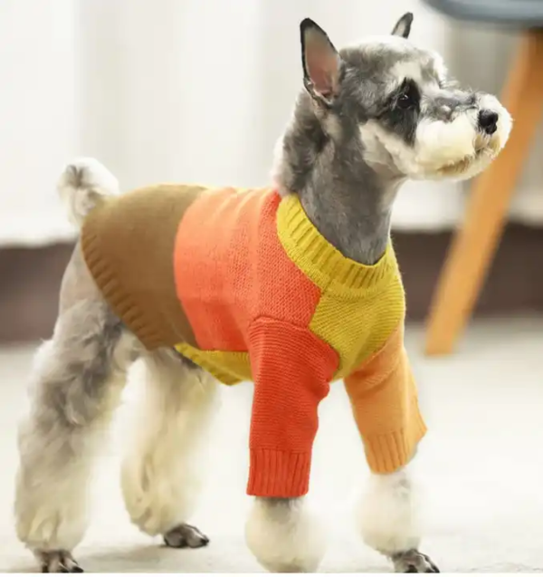 1697986207291 Pet Color Patchwork Knitted Sweater