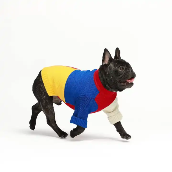 1697986254683 Pet Color Patchwork Knitted Sweater