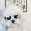 1698026317252 Love Shaped Pet Sunglasses Dog Goggles