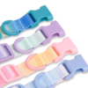 1698670398173 Rainbow colorful webbing dog collar