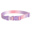 1698670411122 Rainbow colorful webbing dog collar