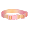 dog collar Rainbow colorful webbing dog collar