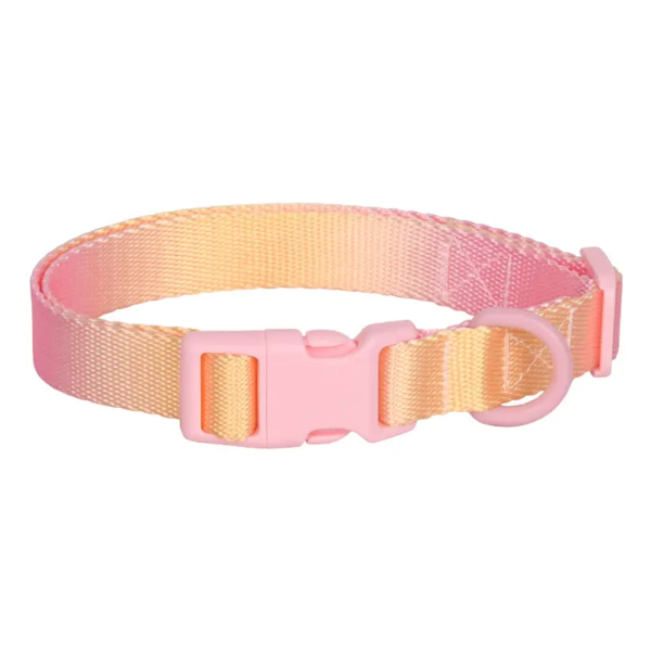 dog collar Rainbow colorful webbing dog collar