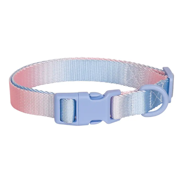 1698670426932 Rainbow colorful webbing dog collar