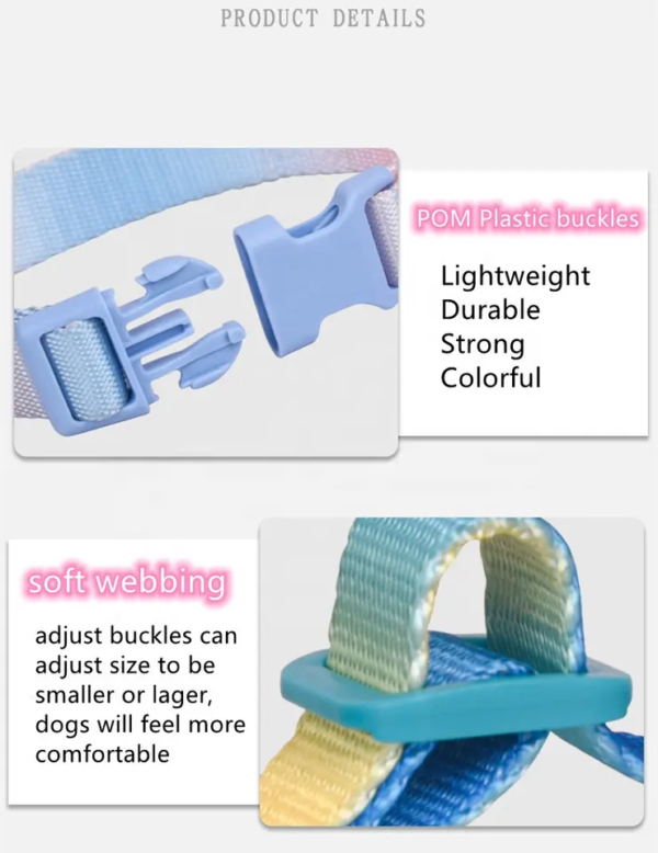 1698670452227 Rainbow colorful webbing dog collar