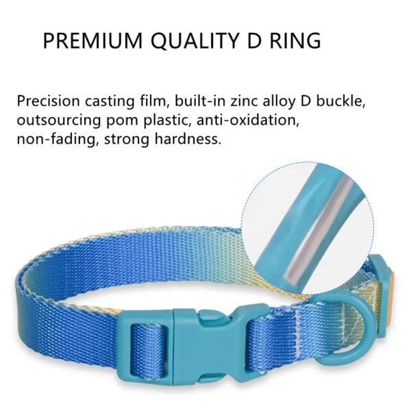 1698670458774 Rainbow colorful webbing dog collar