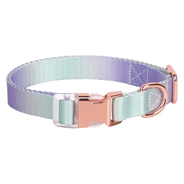 dog collar 3 Rainbow colorful webbing dog collar