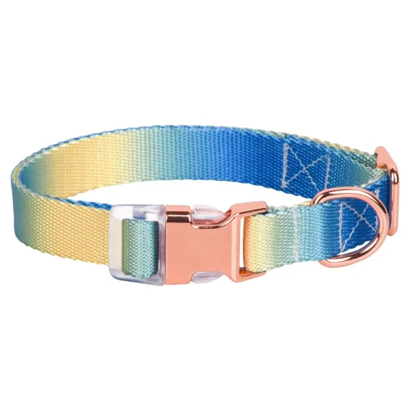 dog collar Rainbow colorful webbing dog collar