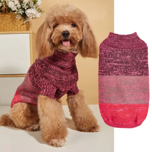 dog sweater 1 Warm Colorful Pet Knitted Sweater