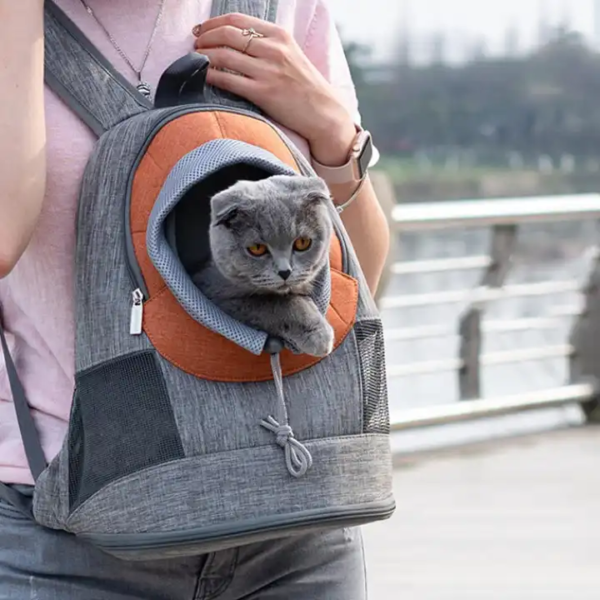 1698934481531 Portable Foldable Pet Travel Backpack