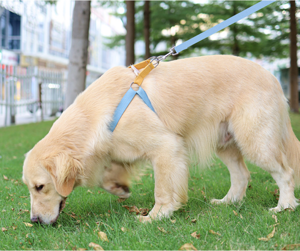 1709633076675 No Pull Adjustable Pet Harness Leash Set