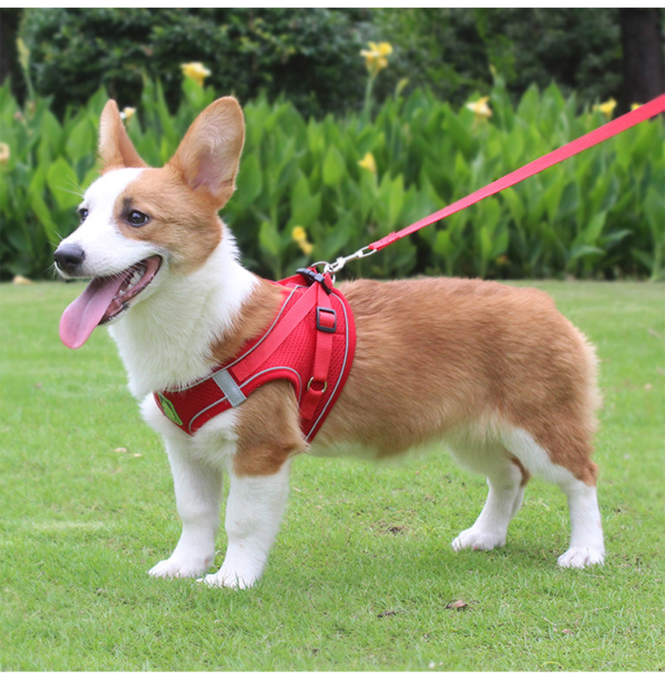 Reflective Breathable Pet Harness Leash Set