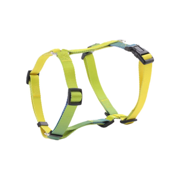 1723630206391 Gradient Color Design No Pull Pet Harness Leash Set