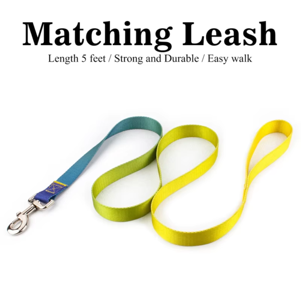 1723630223112 Gradient Color Design No Pull Pet Harness Leash Set