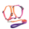 1723630237762 Gradient Color Design No Pull Pet Harness Leash Set