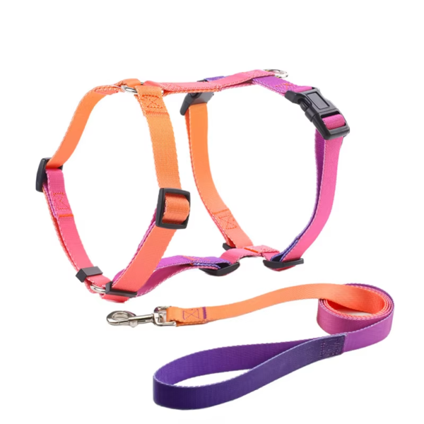 1723630237762 Gradient Color Design No Pull Pet Harness Leash Set