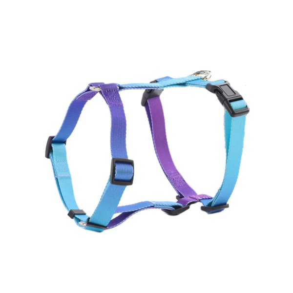 1723630253269 Gradient Color Design No Pull Pet Harness Leash Set