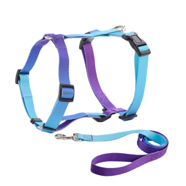 1723630261851 Gradient Color Design No Pull Pet Harness Leash Set