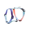 1723630339819 Gradient Color Design No Pull Pet Harness Leash Set