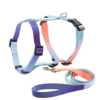 1723630345790 Gradient Color Design No Pull Pet Harness Leash Set