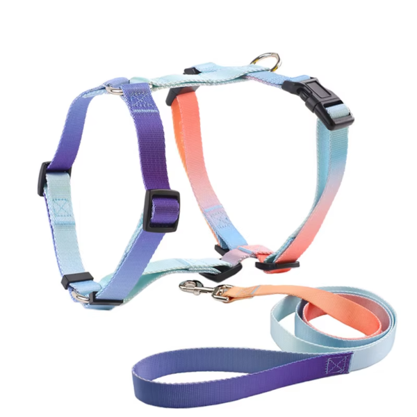 1723630345790 Gradient Color Design No Pull Pet Harness Leash Set