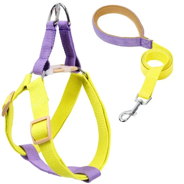 2 No Pull Adjustable Pet Harness Leash Set