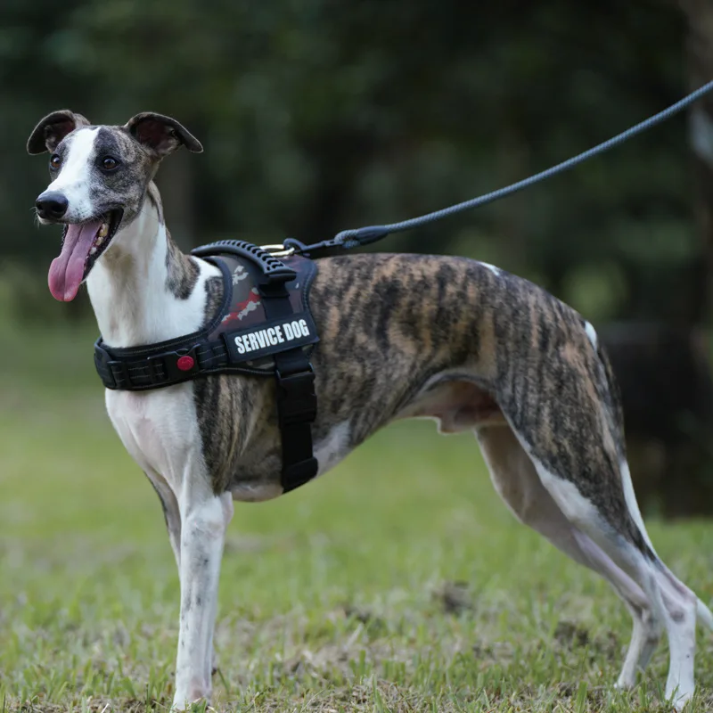 waterproof dog harness
