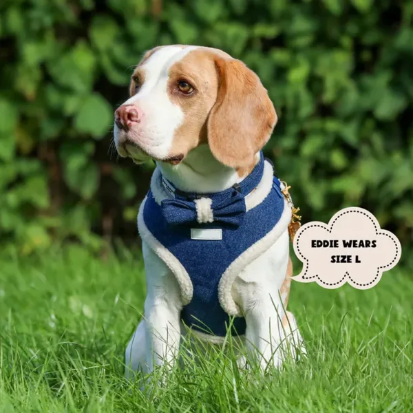 8 Cowboy Soft Warm Pet Harness Leash Collar Set