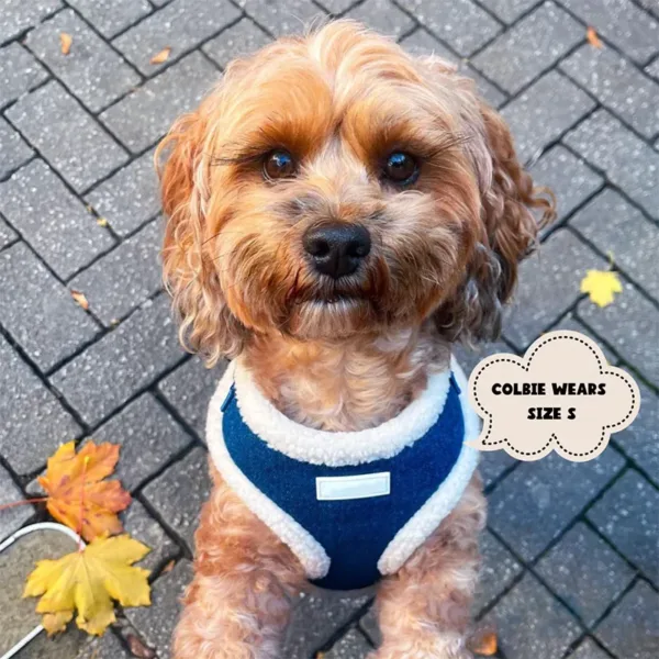 9 Cowboy Soft Warm Pet Harness Leash Collar Set