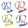 dog harness Gradient Color Design No Pull Pet Harness Leash Set