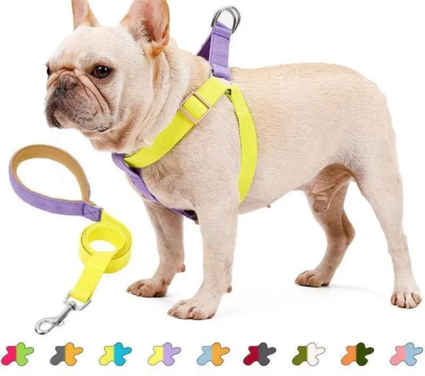 dog harness No Pull Adjustable Pet Harness Leash Set