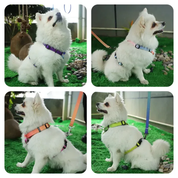 dog harness leash Gradient Color Design No Pull Pet Harness Leash Set