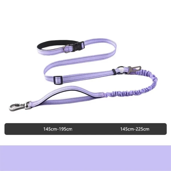 1724313371465 6 in 1 Multifunctional Reflective Pet Rope Dog Leash For walking