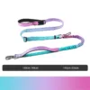 1724313380435 6 in 1 Multifunctional Reflective Pet Rope Dog Leash For walking