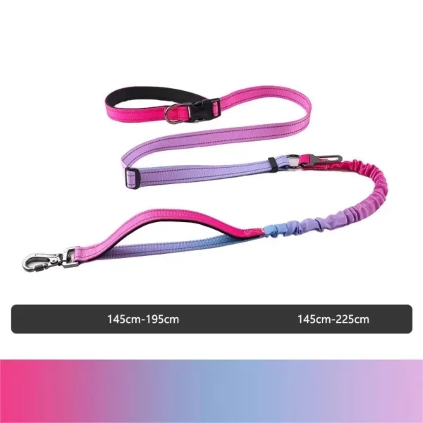 1724313387423 6 in 1 Multifunctional Reflective Pet Rope Dog Leash For walking