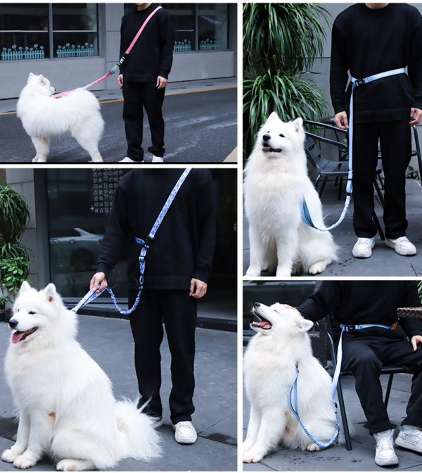 1724313629924 6 in 1 Multifunctional Reflective Pet Rope Dog Leash For walking