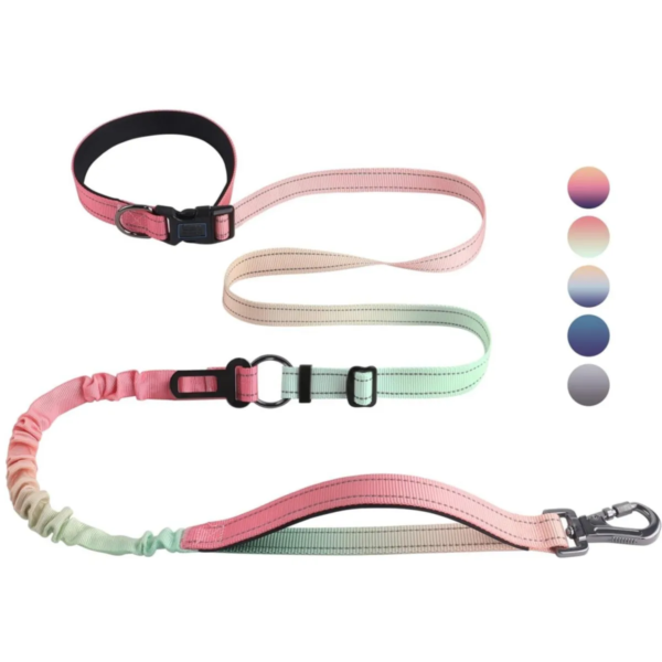 Dog leash 6 in 1 Multifunctional Reflective Pet Rope Dog Leash For walking