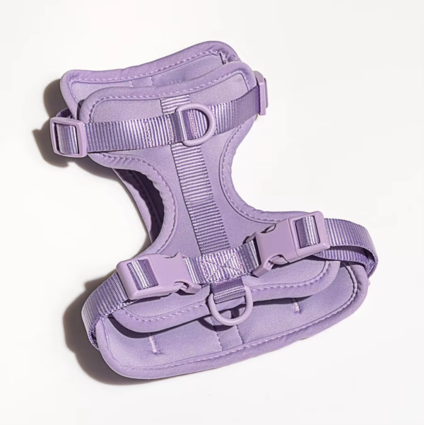 1729564410939 Luxury Custom Logo Dog Vest Adjustable Dog Harness For Small Dog Medium Large Dog