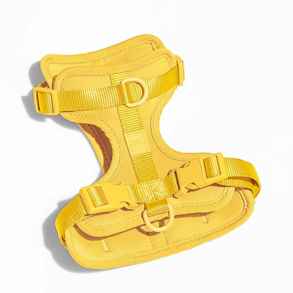 1729564570858 Luxury Custom Logo Dog Vest Adjustable Dog Harness For Small Dog Medium Large Dog