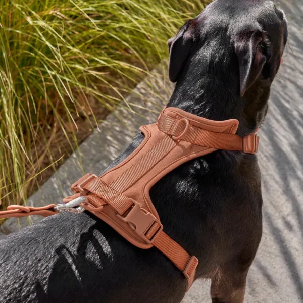 coffee dog leash harness Luxury Custom Logo Dog Vest Adjustable Dog Harness For Small Dog Medium Large Dog